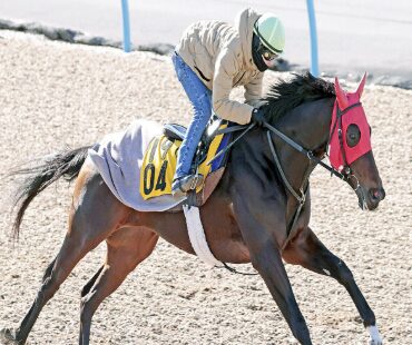 馬に騎乗する小林勝太騎手