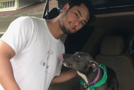 ダルビッシュ有と飼い犬のピットブル