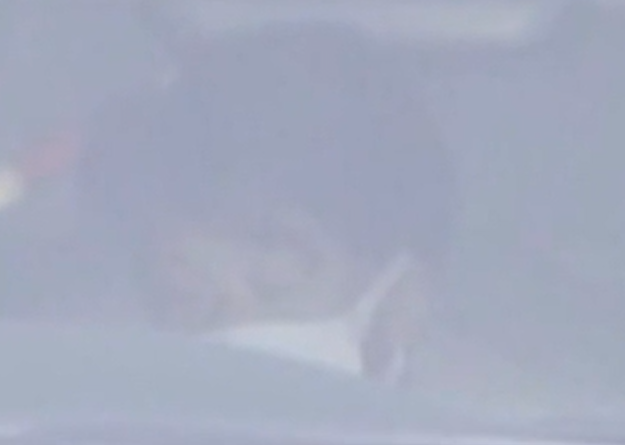 立花浩二容疑者