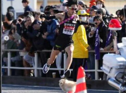 箱根駅伝で乱入してきたポメラニアンをかわす選手